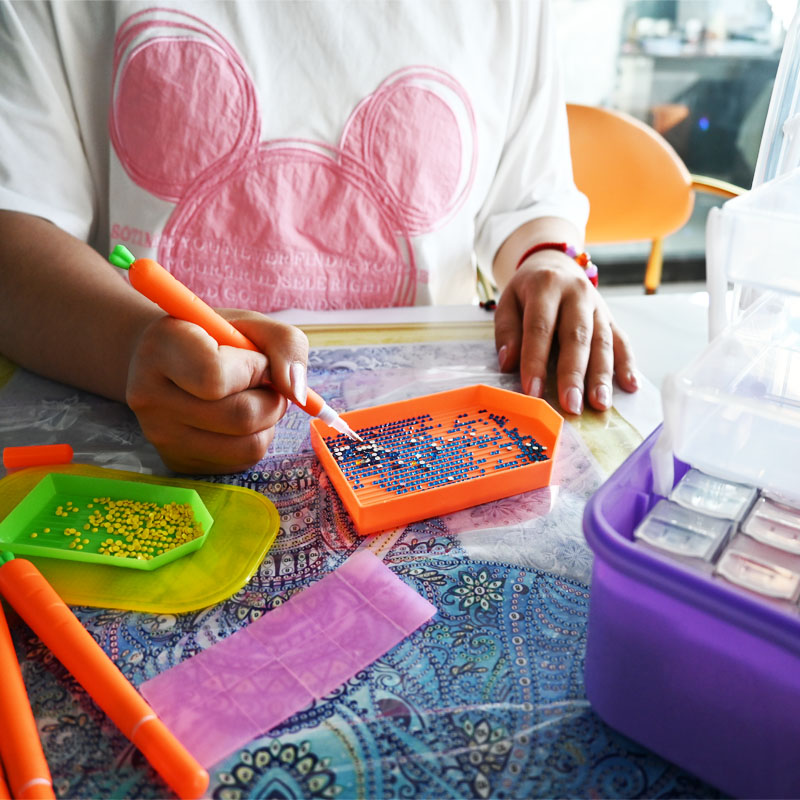 Diamond Embroidery Tools Carro - Craft Embellishment Storage review and price