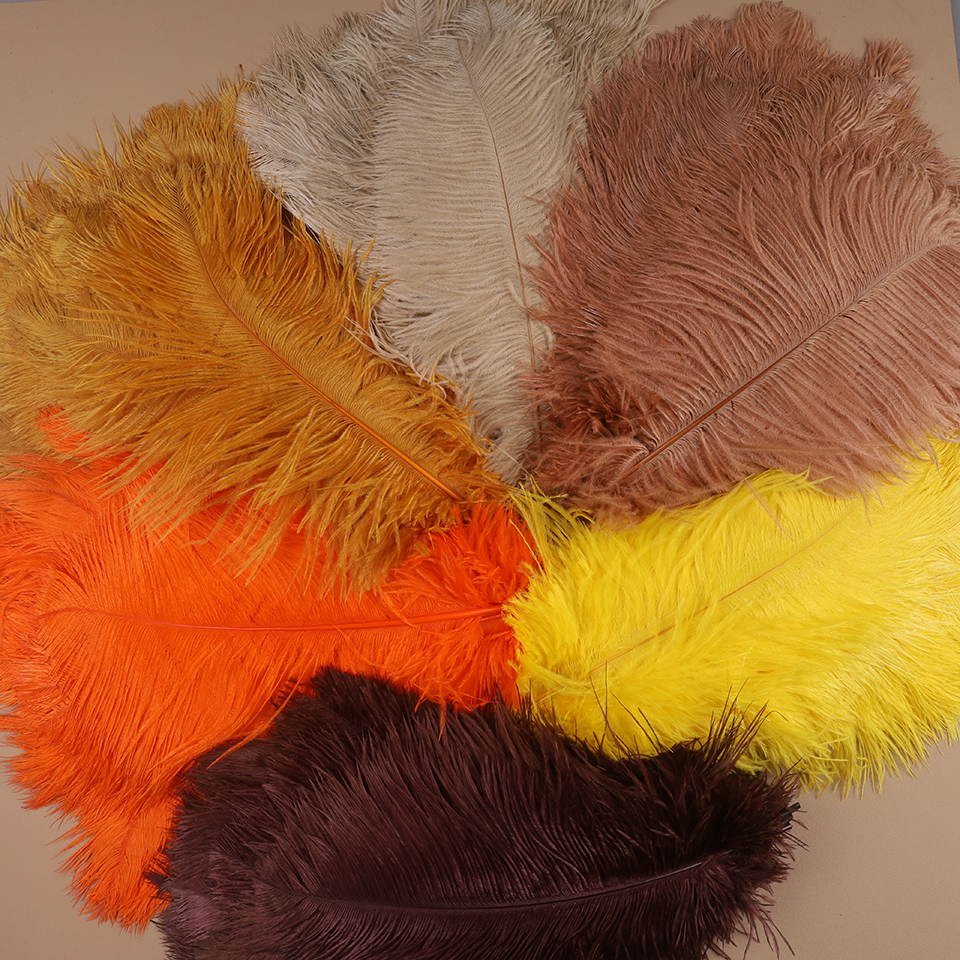 10pcs Ostrich Feathers for Cra - Feather Trim Marabou review and price
