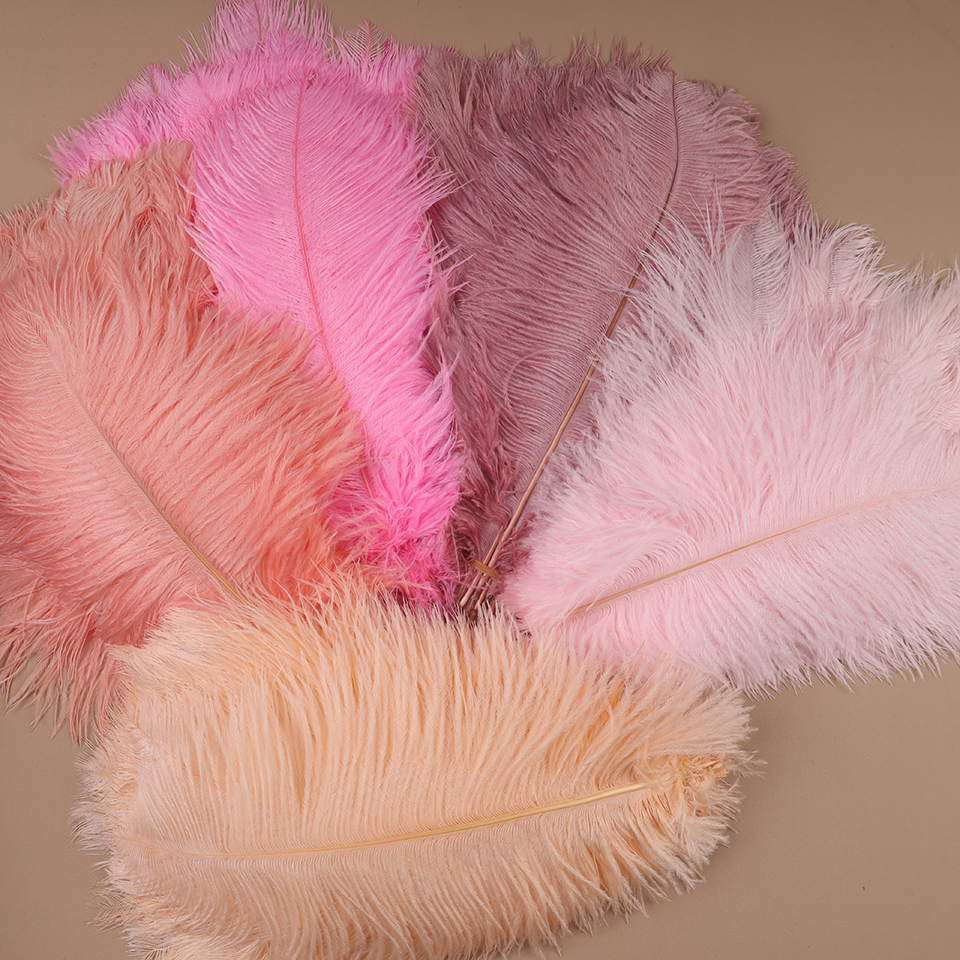 10pcs Ostrich Feathers for Cra - Feather Trim Marabou review and price