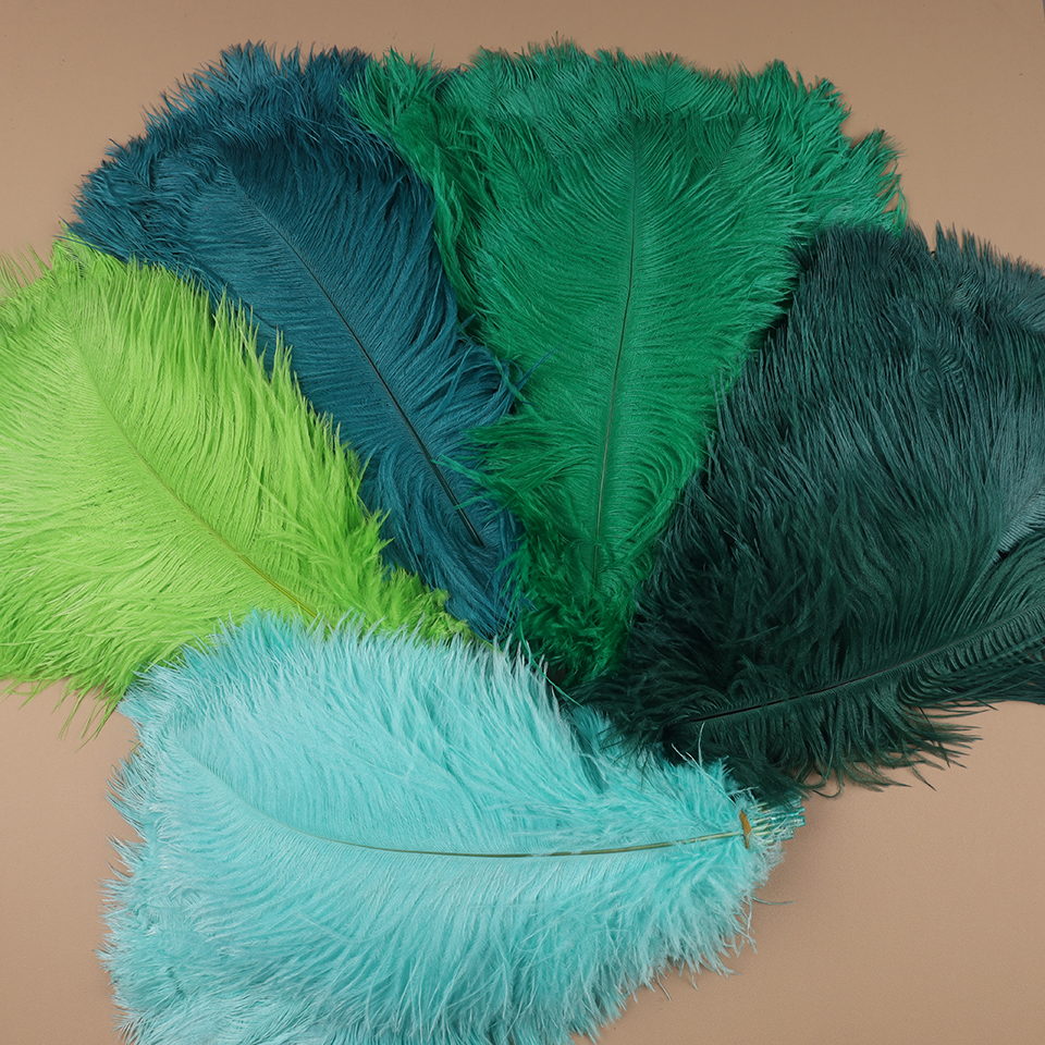 10pcs Ostrich Feathers for Cra - Feather Trim Marabou review and price