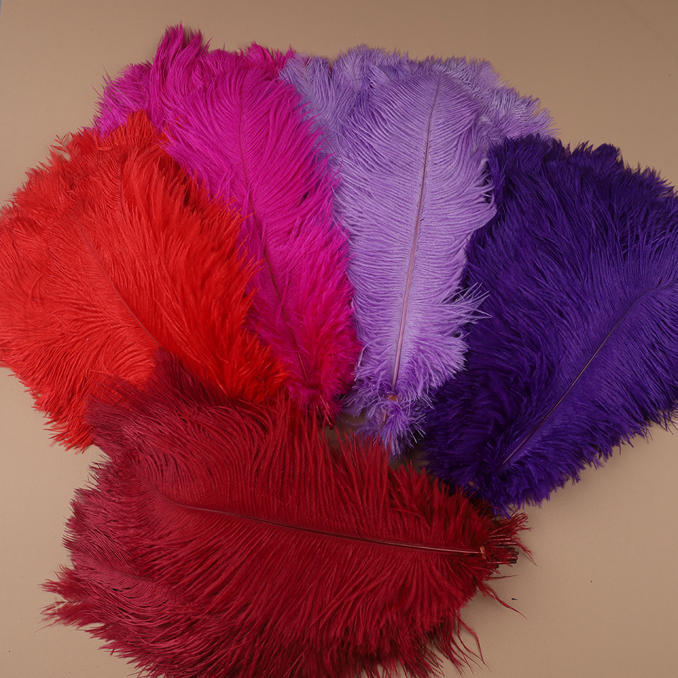 10pcs Ostrich Feathers for Cra - Feather Trim Marabou review and price